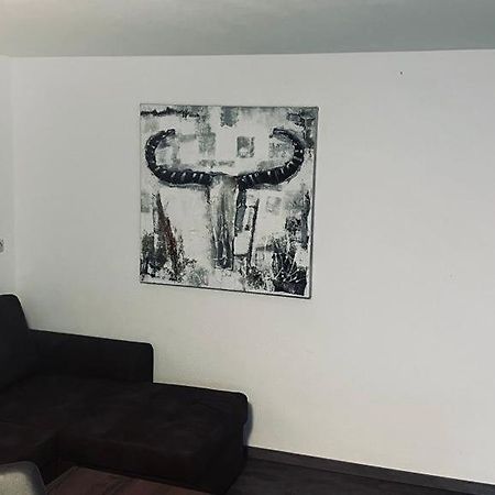 Ferienwohnung An Der Allee In メミンゲン エクステリア 写真